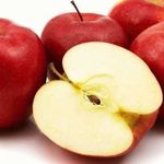 Как вырастить яблоню сибирскую из семян