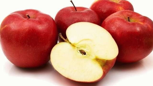 Как вырастить яблоню сибирскую из семян