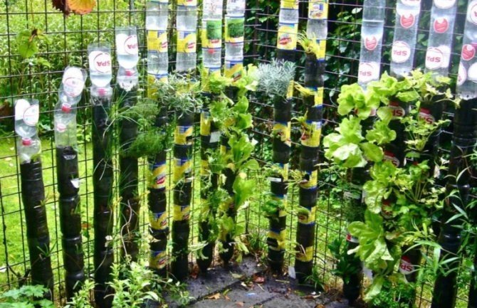 Вертикальный сад из пластиковых бутылок