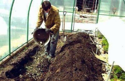 Подготовка почвы в теплице