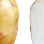 Картофель Аврора: описание, особенности выращивания, отзывы