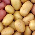 Лучшие сорта картофеля – обзор сортов, отзывы и фото