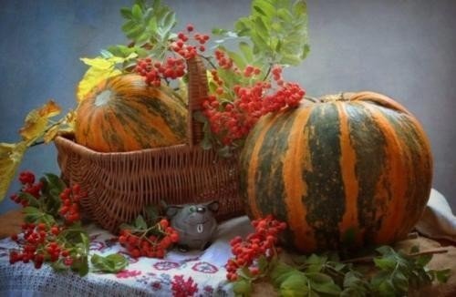 Осенний натюрморт с тыквой