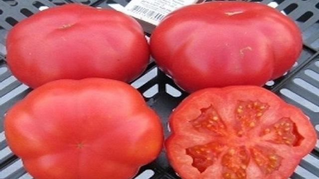 Томат "Мясистый красавец": описание сорта, характеристики помидор, рекомендации по уходу Русский фермер