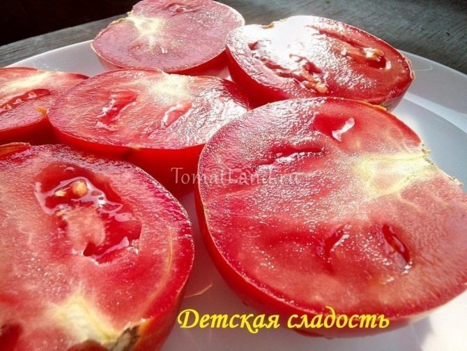 Гавриш томат детская сладость