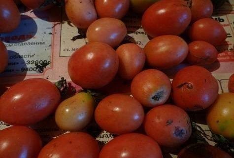 Самые сладкие сорта томатов