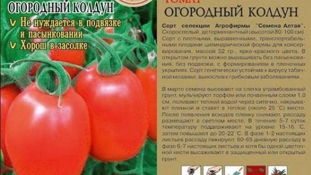 Описание и характеристика сорта томата Огородный колдун, урожайность и уход