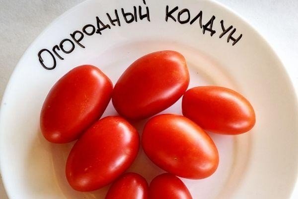 Сорт помидор московский деликатес