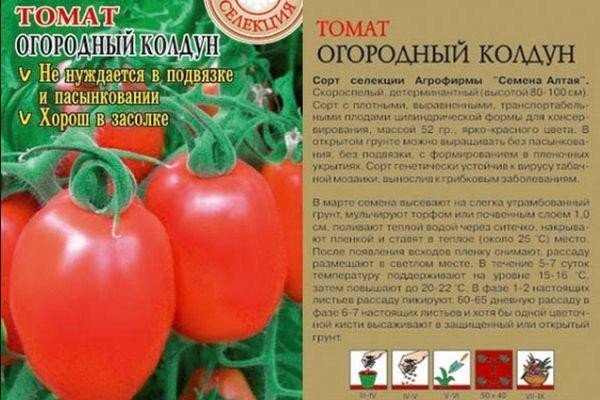 Сорт томата