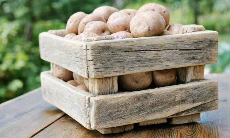 Коробки для картошки