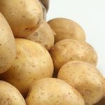 Описание универсального сорта картофеля Гала