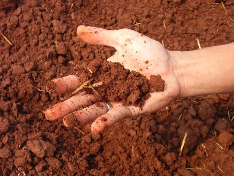 Сухая почва глинистая суглинистая