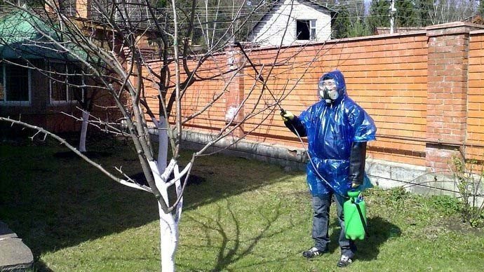 Защитный костюм для опрыскивания сада