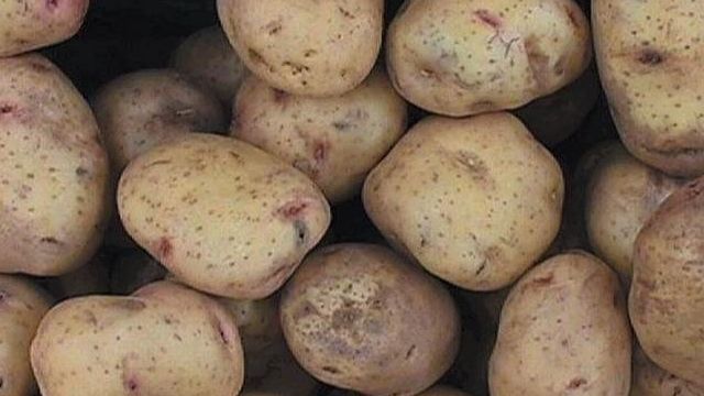 Удобрение для картофеля осенью
