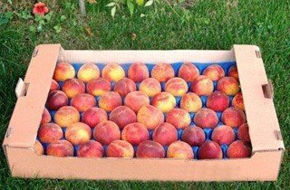 Ящик с яблоками
