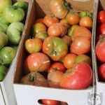 Как хранить свежие помидоры дома, чтобы долго не портились