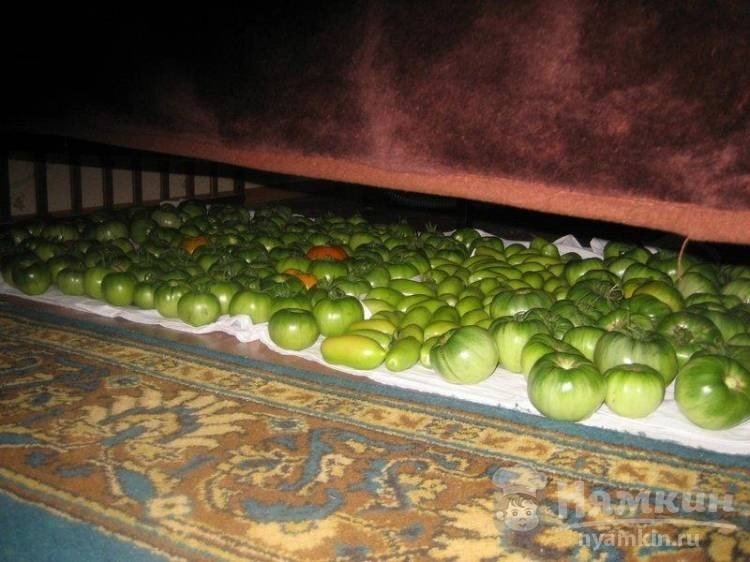 Зелёные помидоры дозревание дома