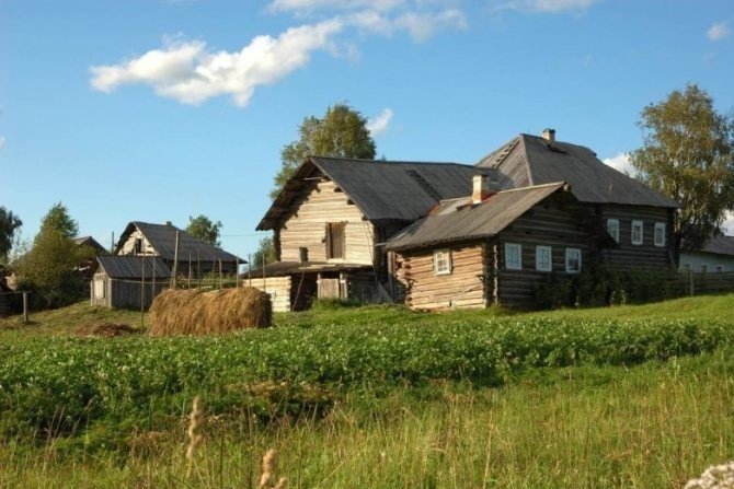 Деревня горки новгородской области