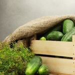 Свежие огурцы в сезон и на зиму: как хранить в холодильнике и без него
